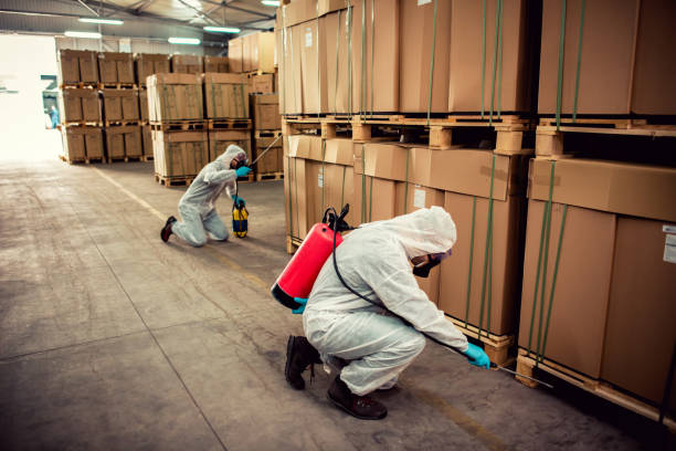 Best Pest Removal Services  in Massillon, OH
