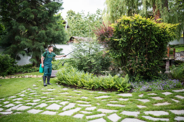 Best Local Pest Control Services  in Massillon, OH