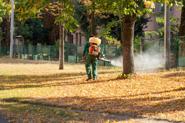 Best Pest Removal Services  in Massillon, OH
